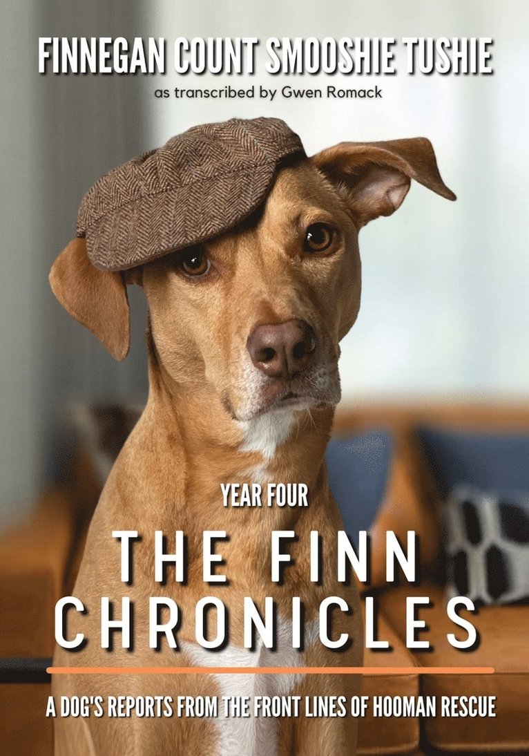 Gwen Romack - Finn Chronicles, Häftad. Tillgänglighet: Lägg i varukorg
