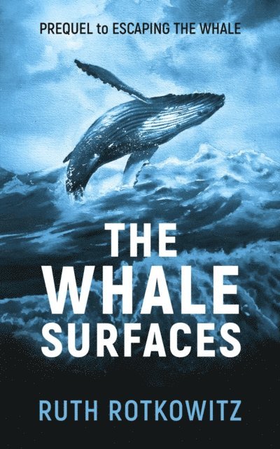 Ruth Rotkowitz - Whale Surfaces, E-bok