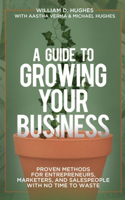 Michael Hughes, Aastha Verma, William D. Hughes - Guide to Growing Your Business, E-bok