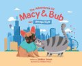 The Adventures of Macy and Bub, Chicago Style