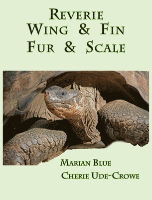 Marian Blue, Cherie Ude-Crowe - Reverie Wing & Fin Fur & Scale, Inbunden. Tillgänglighet: Lägg i varukorg