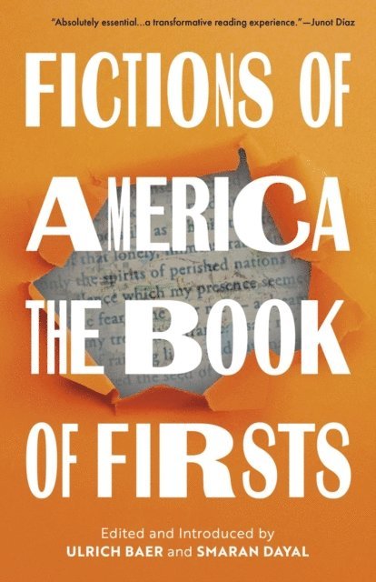 Smaran Dayal, Ulrich Baer - Fictions of America, E-bok