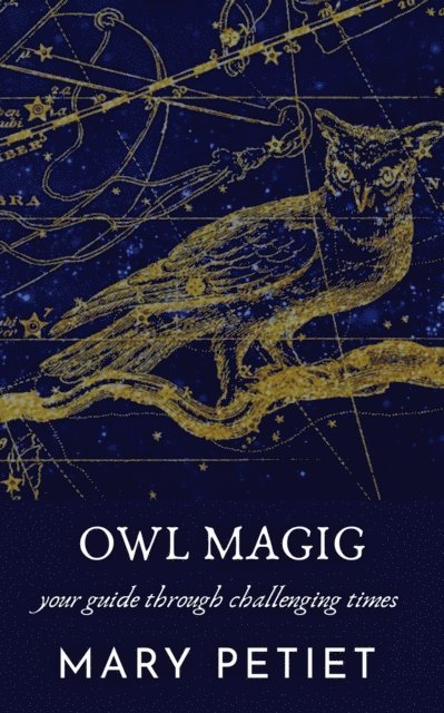 Mary Petiet - Owl Magic, E-bok
