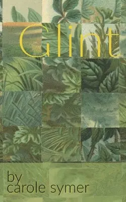 Carole Symer - Glint, Häftad. Tillgänglighet: Lägg i varukorg