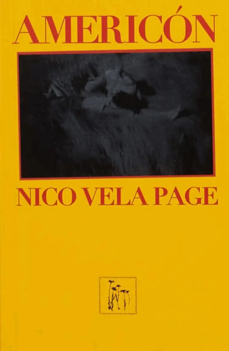 Nico Vela Page - Americón, Häftad. Tillgänglighet: Lägg i varukorg