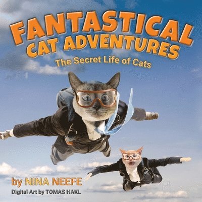 Nina Neefe - Fantastical Cat Adventures, Häftad. Tillgänglighet: Lägg i varukorg