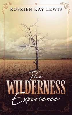 Roszien Kay Lewis, Erick Markley - The Wilderness Experience, Häftad