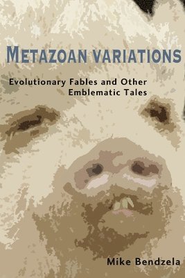 Mike Bendzela - Metazoan Variations, Häftad