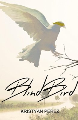 Kristyan Perez - Blind Bird, Häftad