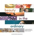 Beauty in the Ordinary