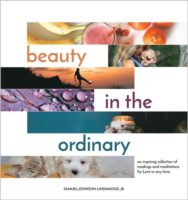 Samuel Johnson Lindamood, Wesley J. Wildman - Beauty in the Ordinary, E-bok