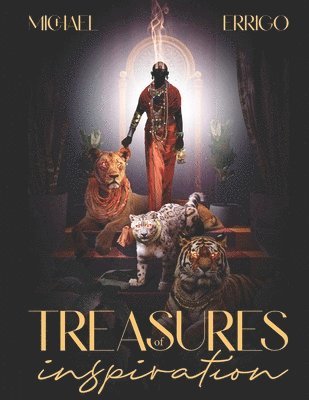 Michael Errigo - Treasures of Inspiration, Häftad