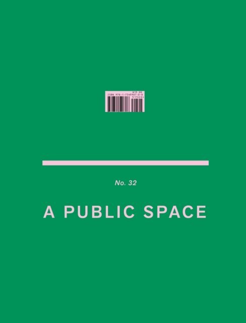 Brigid Hughes - Public Space No. 32, E-bok