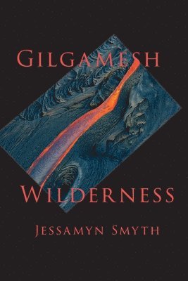 Jessamyn Smyth - Gilgamesh Wilderness, Häftad