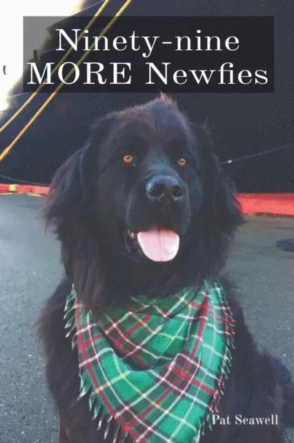 Pat Seawell - Ninety-nine MORE Newfies, E-bok. Tillgänglighet: Lägg i varukorg