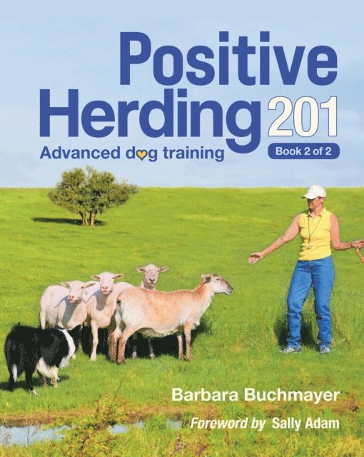 Barbara Buchmayer - Positive Herding 201, E-bok