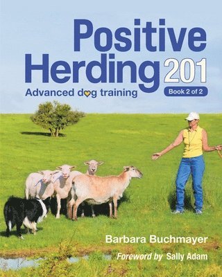 Barbara Buchmayer - Positive Herding 201, Häftad