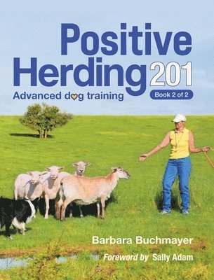 Barbara Buchmayer - Positive Herding 201, Inbunden