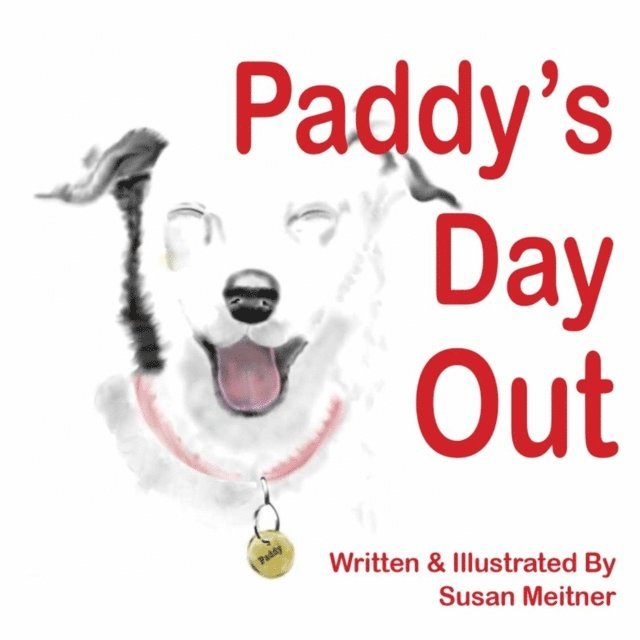 Susan Meitner - Paddy's Day Out, E-bok