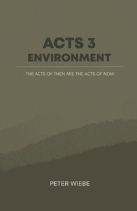 Acts 3 Environment