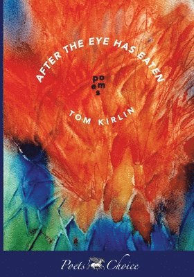 Tom Kirlin - After the Eye Has Eaten, Häftad