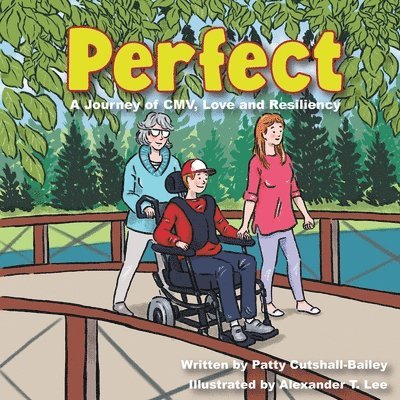 Patty Cutshall-Bailey - Perfect, Häftad