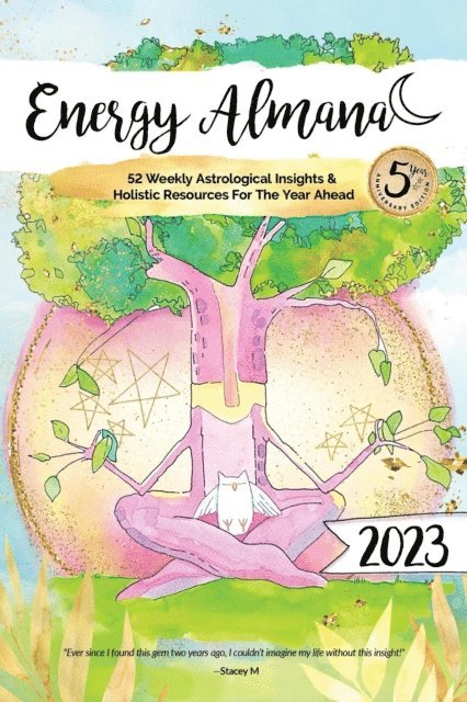TAM VEILLEUX - 2023 Energy Almanac, E-bok