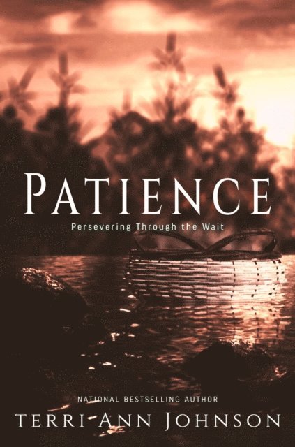 Terri Ann Johnson - Patience, E-bok