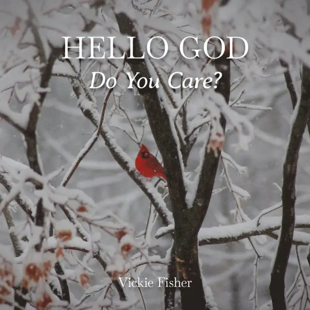Vickie Fisher - Hello God, Do You Care?, E-bok. Tillgänglighet: Lägg i varukorg