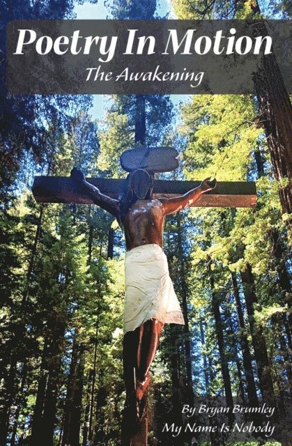 Bryan Brumley - Poetry In Motion, E-bok