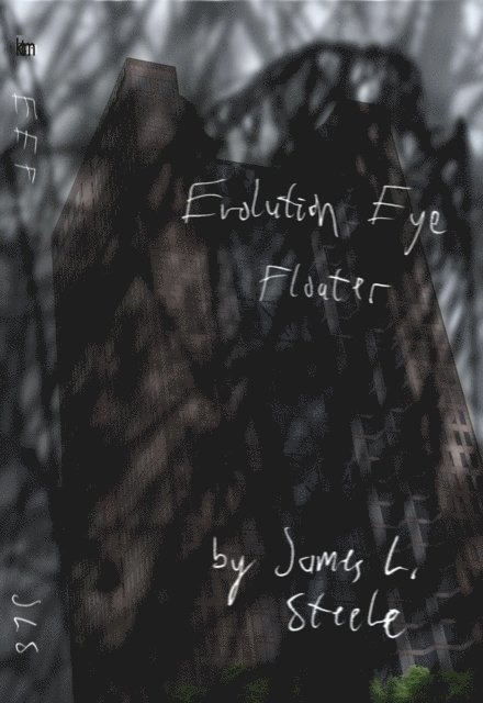 James L. Steele - Evolution Eye Floater, E-bok