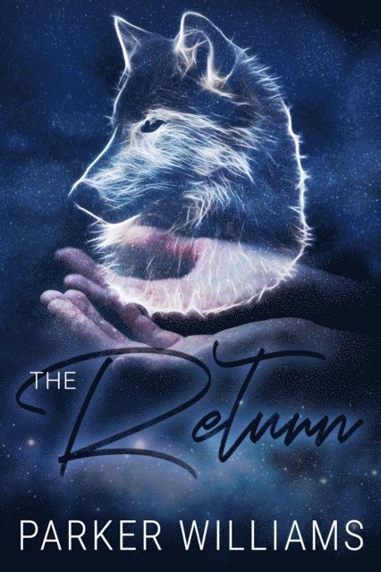 Parker Williams - Return, E-bok