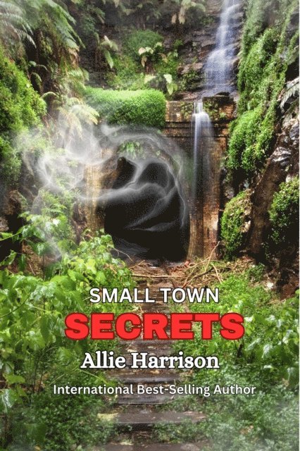Allie Harrison - Small Town Secrets, E-bok