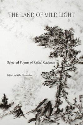 Rafael Cadenas, Nidia Hernandez - Land of Mild Light, Häftad