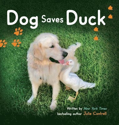 Julie Cantrell - Dog Saves Duck, Inbunden
