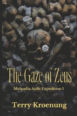 Terry Kroenung - Gaze of Zeus, Häftad. Tillgänglighet: Lägg i varukorg