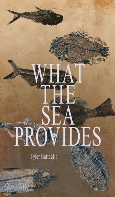 Tyler Battaglia - What the Sea Provides, E-bok