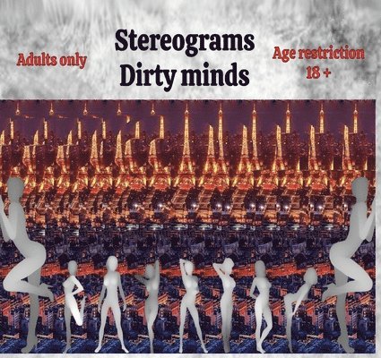 Radu Ioan Saghin - Stereograms, Häftad