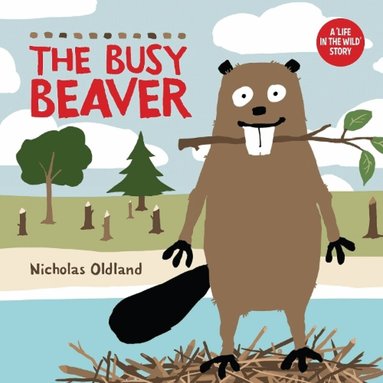 Nicholas Oldland - Busy Beaver, Häftad