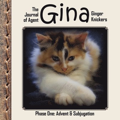 Linda Deane - Journal of Agent Gina Ginger Knickers, Phase One, Häftad. Tillgänglighet: Lägg i varukorg