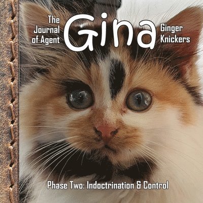 Linda Deane - Journal of Agent Gina Ginger Knickers, Phase Two, Häftad. Tillgänglighet: Lägg i varukorg