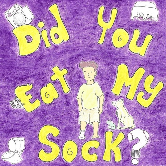 Mina Ibrahim - Did You Eat My Sock?, E-bok