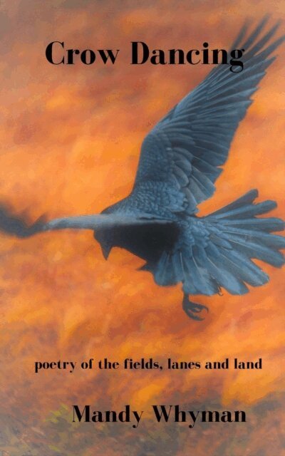 Mandy Whyman - Crow Dancing, E-bok
