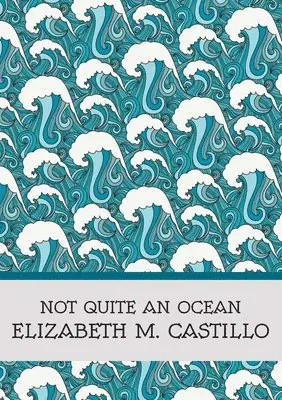 Elizabeth M Castillo - Not Quite an Ocean, Häftad. Tillgänglighet: Lägg i varukorg
