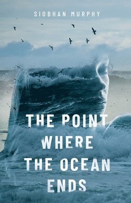 Siobhan Murphy - Point Where The Ocean Ends, Häftad. Tillgänglighet: Lägg i varukorg