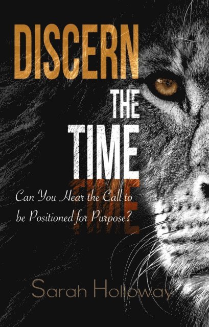 Sarah Holloway - Discern the Time, E-bok