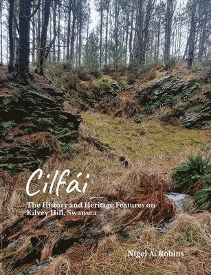 Nigel Robins - Cilfái: The History and Heritage Features on Kilvey Hill, Swansea, Häftad. Tillgänglighet: Lägg i varukorg
