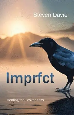 Steven Davie - Imprfct, Häftad. Tillgänglighet: Lägg i varukorg