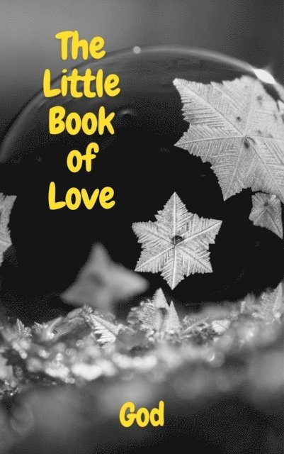 God - Little Book of Love, E-bok
