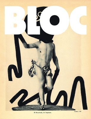 Suridh Hassan, Ryo Sanada - Bloc 02: Pictures Only Art Book, Häftad